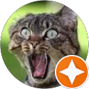 Reji Lashinsky profile picture