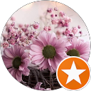 Ginger Covert profile picture